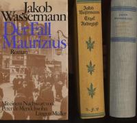 Etzel-Andergast-Trilogie : Der Fall Maurizius / Etzel Andergas / Joseph Kerkhovens dritte Existenz - Wassermann, Jakob