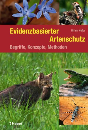 gebrauchtes Buch