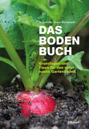 gebrauchtes Buch