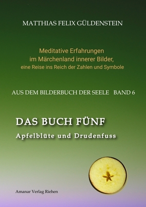 gebrauchtes Buch