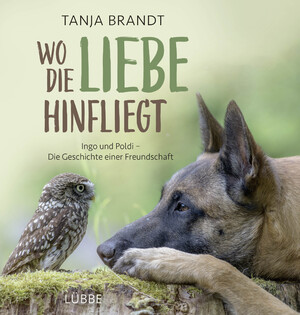 gebrauchtes Buch