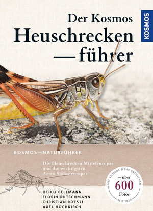 gebrauchtes Buch