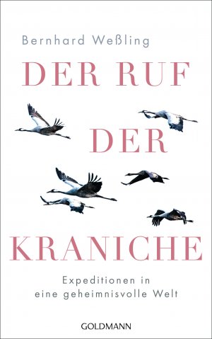 gebrauchtes Buch