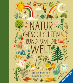 gebrauchtes Buch