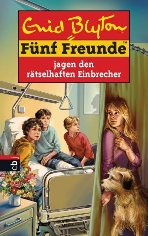 gebrauchtes Buch