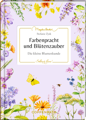 gebrauchtes Buch