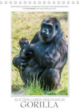 Emotionale Momente: Aus dem Leben der Familie Gorilla. - Gerlach GDT Ingo