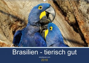 Brasilien  tierisch gut  2018 - Bergwitz Uwe