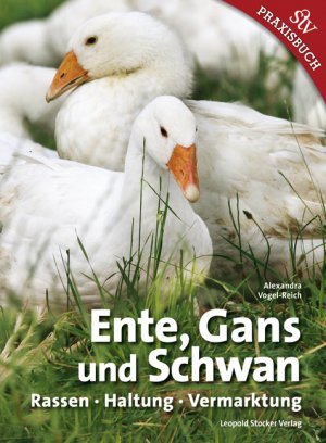 gebrauchtes Buch