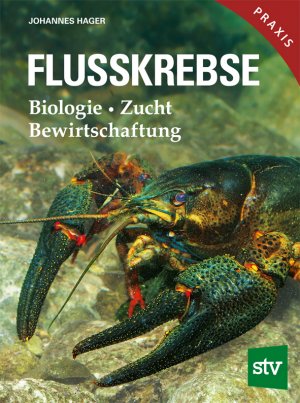 gebrauchtes Buch