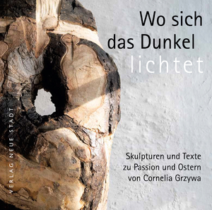 gebrauchtes Buch