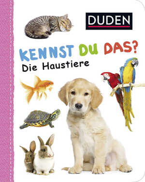 gebrauchtes Buch