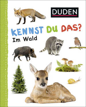 gebrauchtes Buch