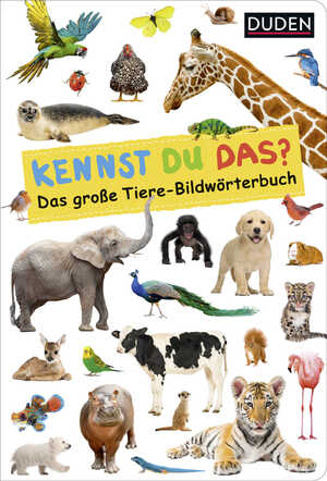 gebrauchtes Buch