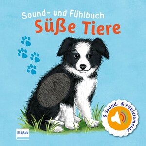 gebrauchtes Buch