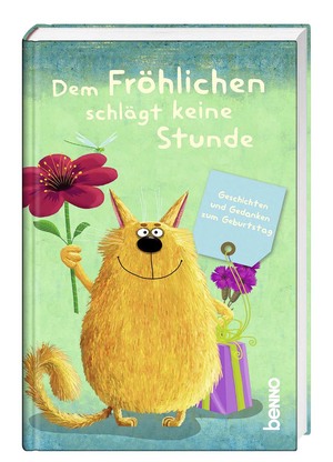 gebrauchtes Buch