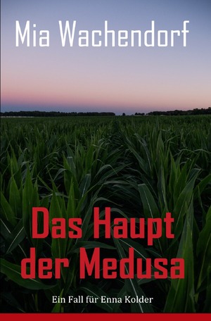 gebrauchtes Buch