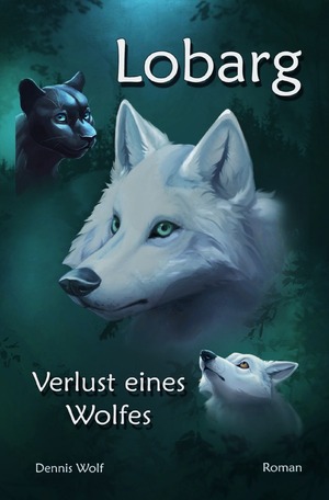 gebrauchtes Buch