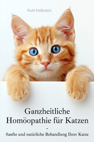 gebrauchtes Buch