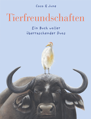 gebrauchtes Buch