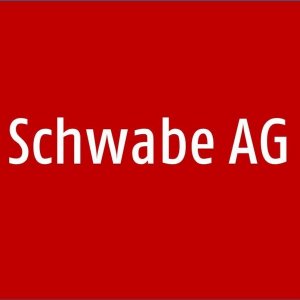 Literarische Kleinformen im Spiegel mittelniederländischer Sammelhandschriften - van Anrooij, Wim