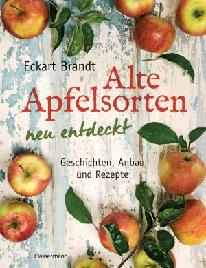 gebrauchtes Buch