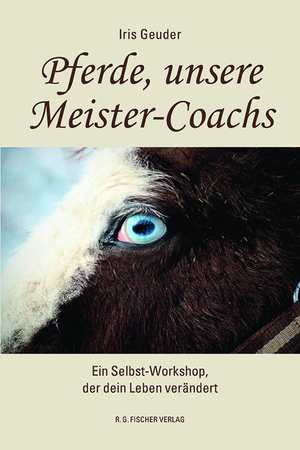 gebrauchtes Buch