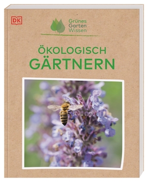 gebrauchtes Buch