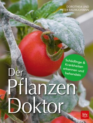 gebrauchtes Buch