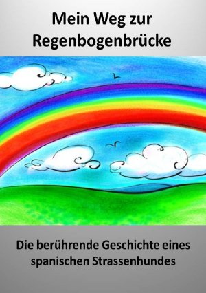 gebrauchtes Buch