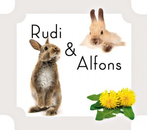 Rudi & Alfons. Aus dem Leben zweier Hasenbrüder - Frisch, Andrea