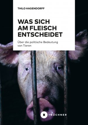 gebrauchtes Buch