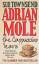 Adrian Mole the Cappuccino Years - Townsend, Sue