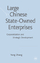 Large Chinese State-Owned Enterprises / Corporatization and Strategic Development / Y. Zhang / Buch / XIII / Englisch / 2007 / SPRINGER NATURE / EAN 9780230542938 - Zhang, Y.