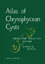 Atlas of Chrysophycean Cysts - Duff, K. Zeeb, Barbara A. Smol, John P.
