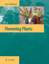 Flowering Plants / Armen Takhtajan / Buch / HC runder Rücken kaschiert / XLV / Englisch / 2009 / Springer Netherland / EAN 9781402096082 - Takhtajan, Armen