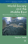 World Society and the Middle East: Reconstructions in Regional Politics - S. Stetter