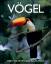 Vögel - Parragon Verlag