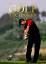 Das grosse Buch der Golftechniken - Chris Meadows unter Mitarbeit von Allen F. Richardson