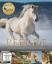 Pferde - Buch & DVD