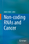Non-coding RNAs and Cancer / Muller Fabbri / Buch / HC gerader Rücken kaschiert / VI / Englisch / 2013 / Springer New York / EAN 9781461484431 - Fabbri, Muller