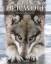 Der Wolf - Wild und faszinierend - Ellis, Shaun