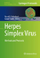 Herpes Simplex Virus: Methods and Protocols (Methods in Molecular Biology (1144), Band 1144) - Russell Diefenbach