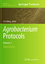 Agrobacterium Protocols - Herausgegeben:Wang, Kan