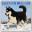 Siberian Huskies - Sibirische Huskies 2020 - 18-Monatskalender mit freier DogDays-App Original BrownTrout-Kalender Kalender Browntrout Wandkalender Deutsch