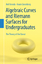 Algebraic Curves and Riemann Surfaces for Undergraduates / The Theory of the Donut / Noam Greenberg (u. a.) / Taschenbuch / Paperback / xiv / Englisch / 2023 / Springer International Publishing - Greenberg, Noam