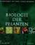 Biologie der Pflanzen - Raven, Peter H; Evert, Ray F; Eichhorn, Susan E