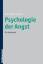 Psychologie der Angst - Ein Lehrbuch - Krohne, Heinz Walter