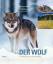 Der Wolf: Ein Raubtier in unserer Nähe - Baumgartner, Hansjakob