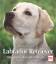 Labrador Retriever: Das große Rassehandbuch - Wild, Rosemarie
